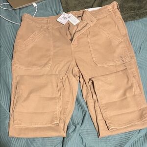 American Eagle Outfitters Tan Skinny Pants